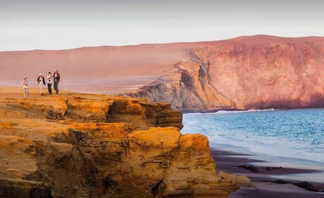 Wonders of Paracas: Ballestas Islands and National Reserve