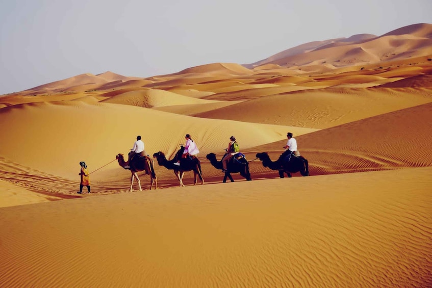 Picture 2 for Activity From Merzouga: Desert Overnight in Heated Tent & Camel Ride