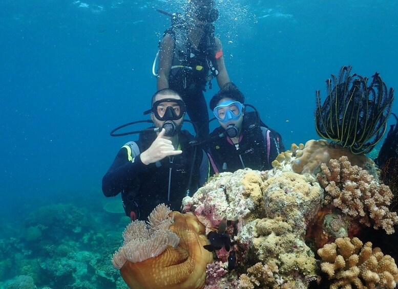 Picture 1 for Activity Boracay: Introduction to Scuba Diving Experience