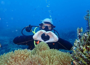 Boracay: Introduksjon til dykking