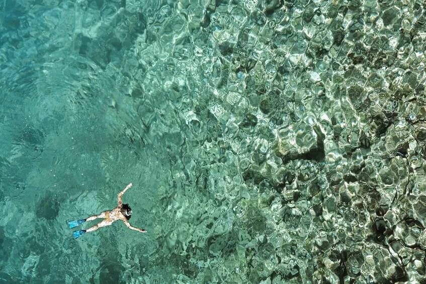 Picture 4 for Activity Zanzibar : Half Day Trip Snorkeling Mnemba atoll + Dolphin