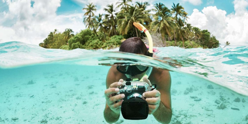 Picture 1 for Activity Zanzibar : Half Day Trip Snorkeling Mnemba atoll + Dolphin