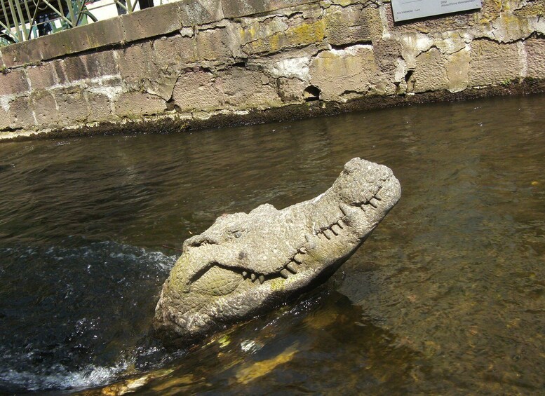 Picture 5 for Activity Freiburg: Guided Walking Tour