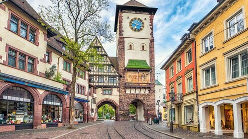 Freiburg: Guided Walking Tour