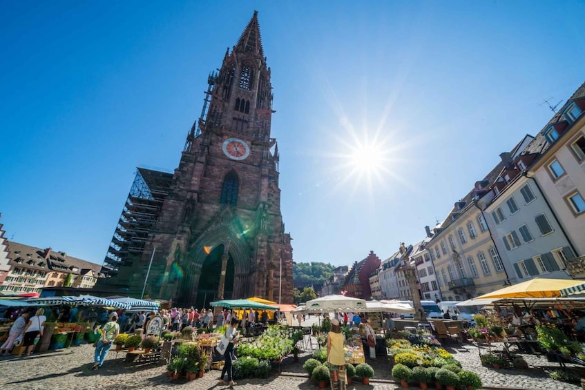 Picture 1 for Activity Freiburg: Guided Walking Tour