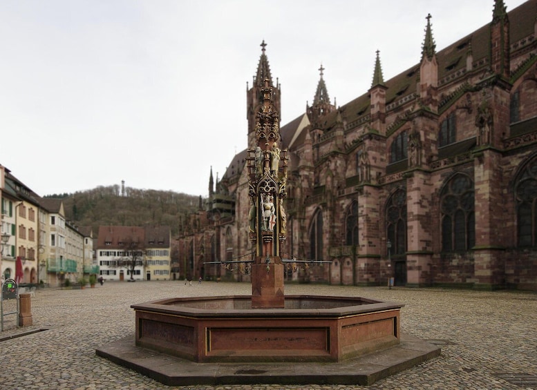 Picture 2 for Activity Freiburg: Guided Walking Tour