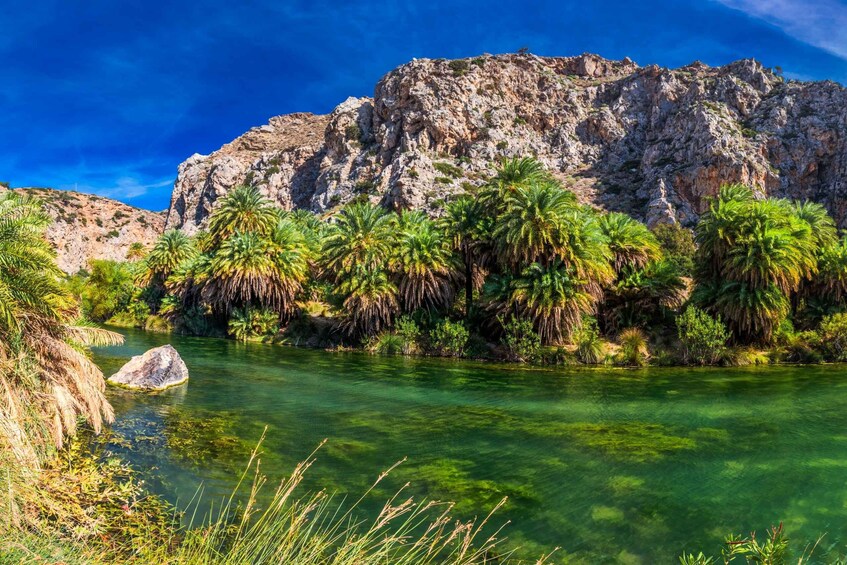 Picture 7 for Activity From Plakias: Beach Safari to Ammoudi and Preveli