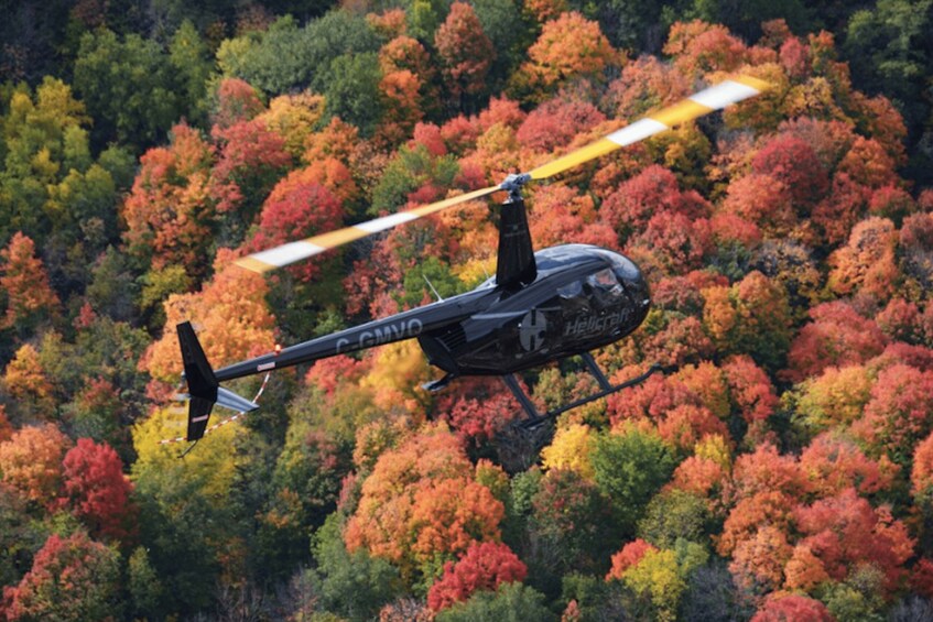 From Montreal: Scenic Montérégie Helicopter Tour