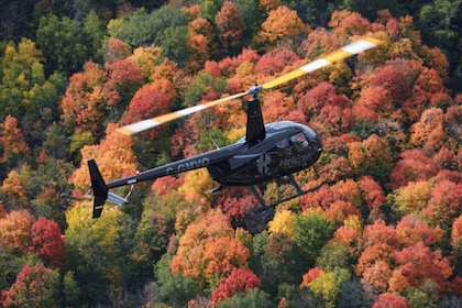 Desde Montreal: tour panorámico en helicóptero por Montérégie