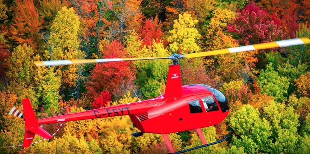 Picture 5 for Activity From Montreal: Scenic Montérégie Helicopter Tour