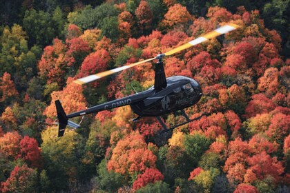 Depuis Montréal : hélicoptère panoramique de la Montérégie excursion