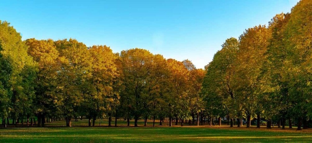 Picture 3 for Activity The Vigeland Park in Oslo: Insta-Perfect Walk with a Local