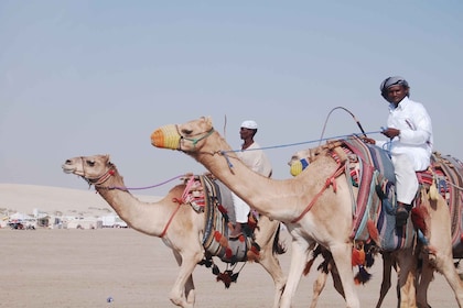 Tour de delicias por la costa sur de Qatar