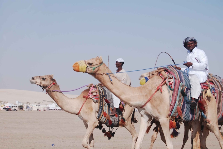 Qatar South Coast Delights Tour