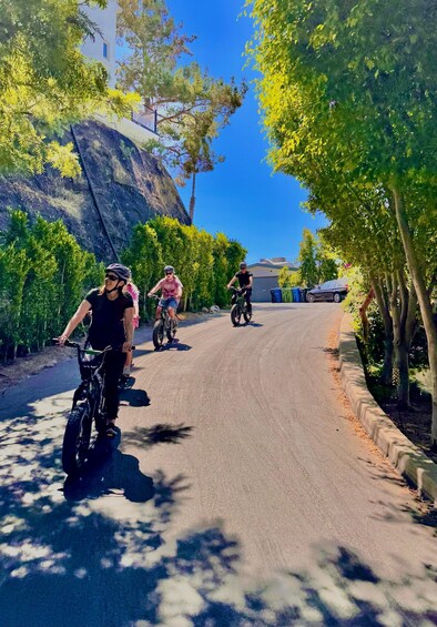 Picture 4 for Activity Los Angeles: Private E-Bike Tour to the Hollywood Sign