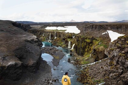 Reykjavikista: Landmannalaugar-vaellus ja Kyynelten laakso