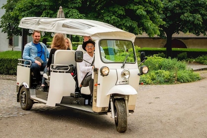 Private Highlights Top Places Tour Electric TukTuk 1h