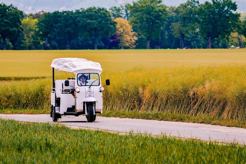 Picture 4 for Activity Private Highlights Top Places Tour Electric TukTuk 1h