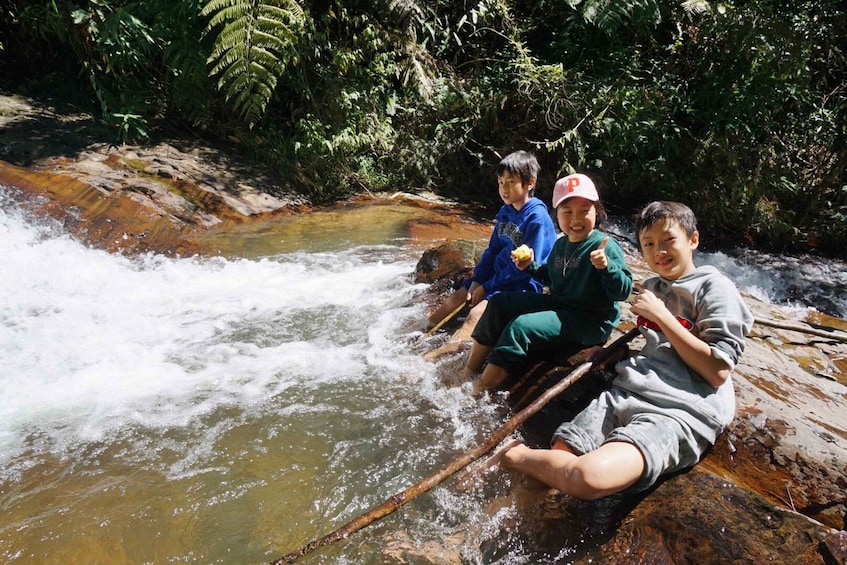 Picture 5 for Activity 3-Hours Trekking Tour to Hidden Waterfall and Sturgeon Farm