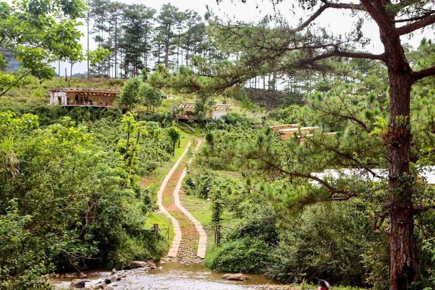 Picture 15 for Activity 3-Hours Trekking Tour to Hidden Waterfall and Sturgeon Farm