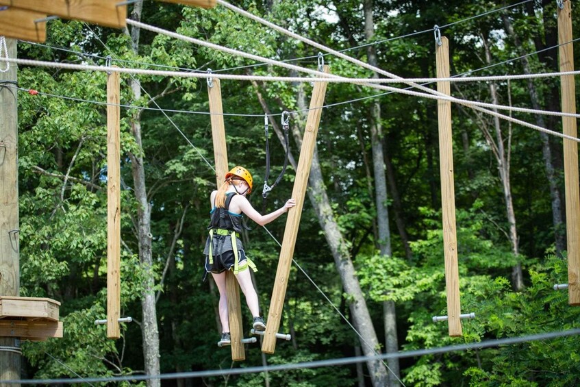 Picture 1 for Activity New River Gorge Aerial Park