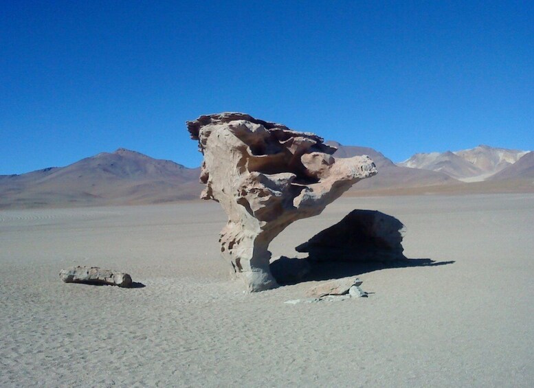 Picture 10 for Activity La Paz: Uyuni tour ending in Atacama Chile by bus.