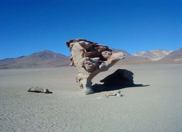 Picture 10 for Activity La Paz: Uyuni tour ending in Atacama Chile by bus.