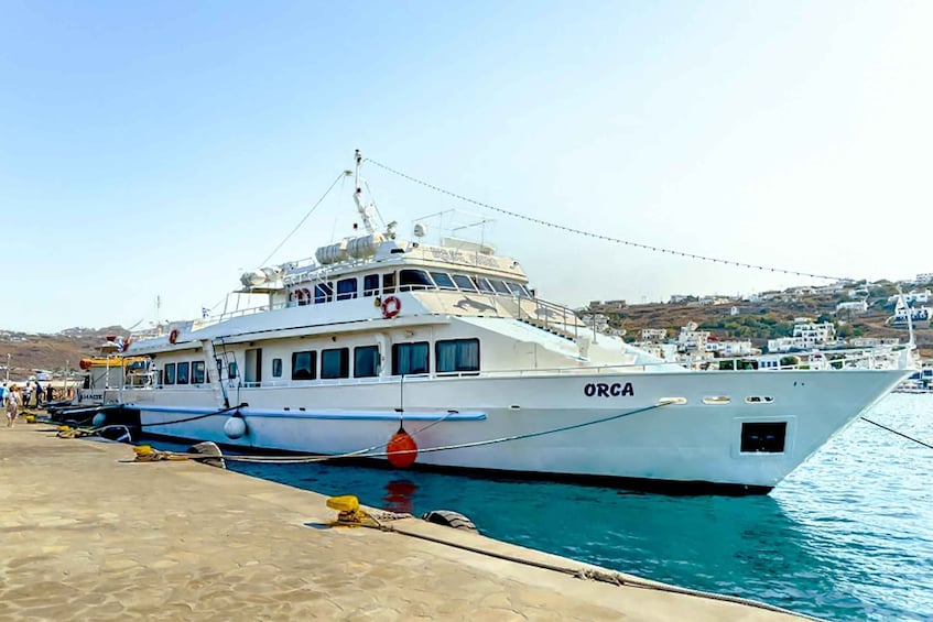 Picture 7 for Activity Mykonos: Delos Boat Transfer with Cell Phone Audioguide