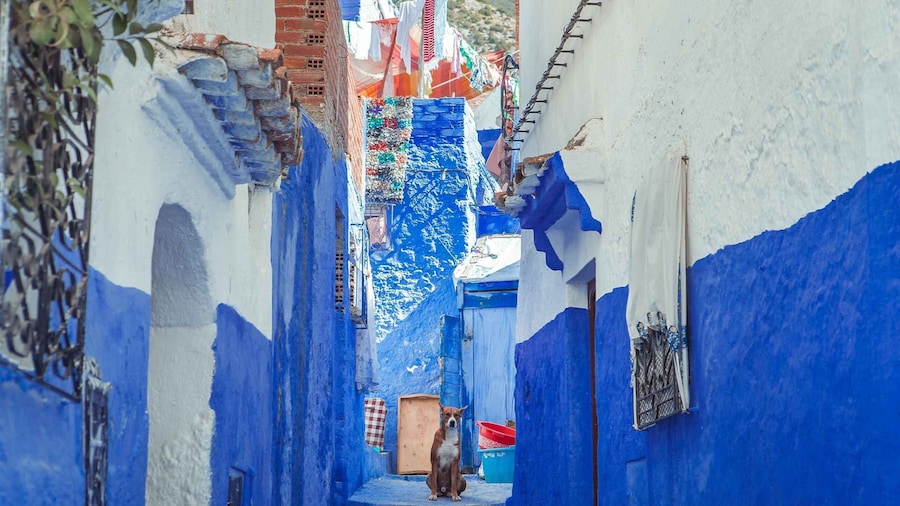 Chefchaouen Day Trip from Fez