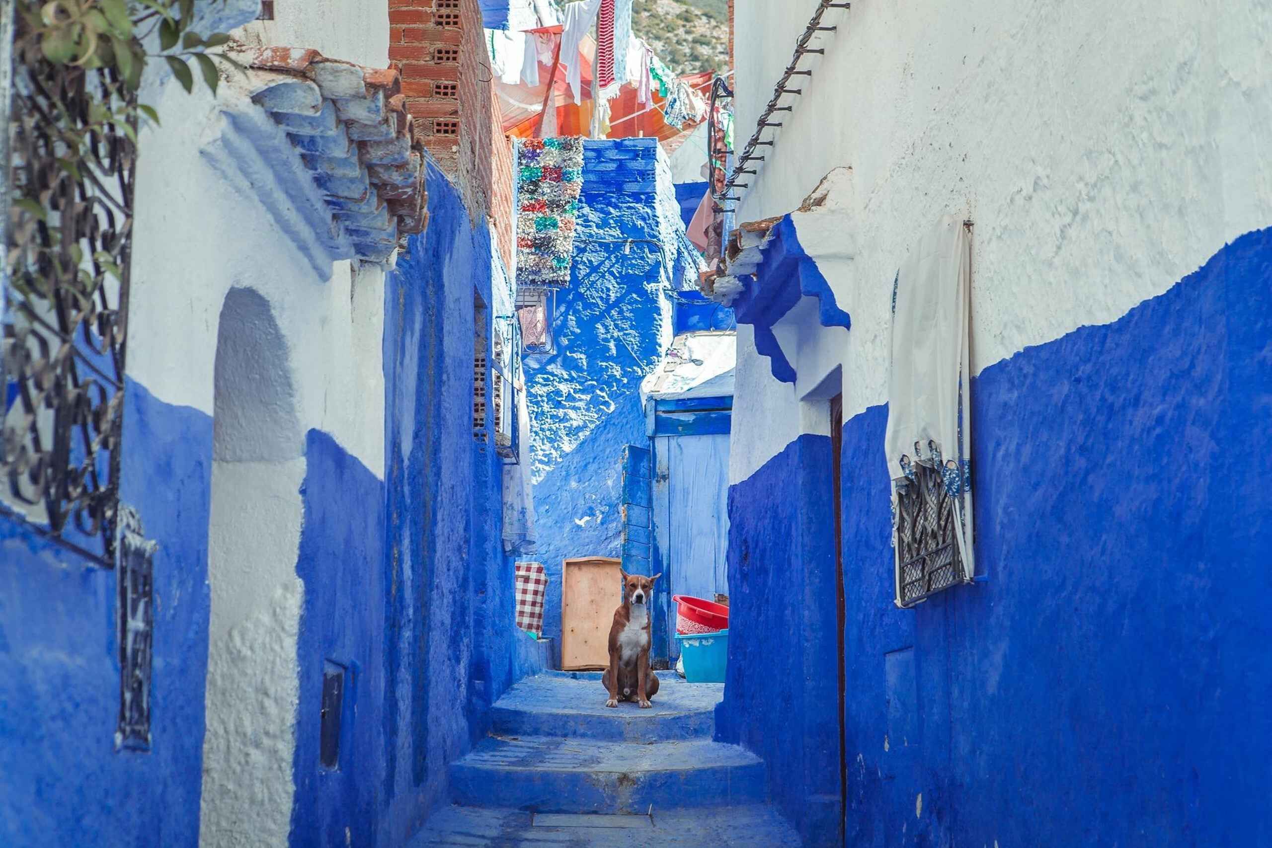 Chefchaouen Day Trip from Fez