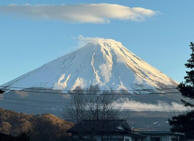 Fuji-vuori koko päivän yksityinen retki (englanninkielinen kuljettaja)
