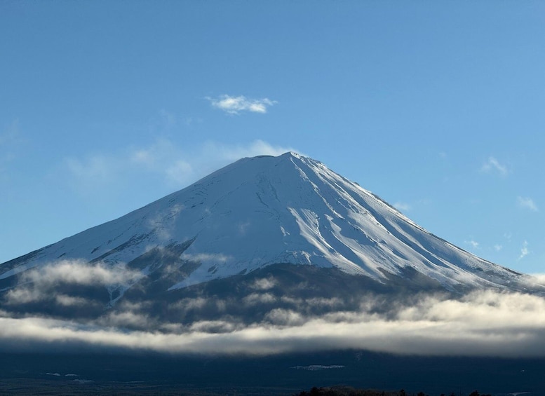 Picture 30 for Activity Tokyo: Mount Fuji Private day Tour(English Speaking Driver)