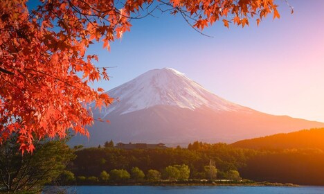 Tokyo Tur Gunung Fuji dengan Sopir Pribadi (Sopir Berbahasa Inggris)