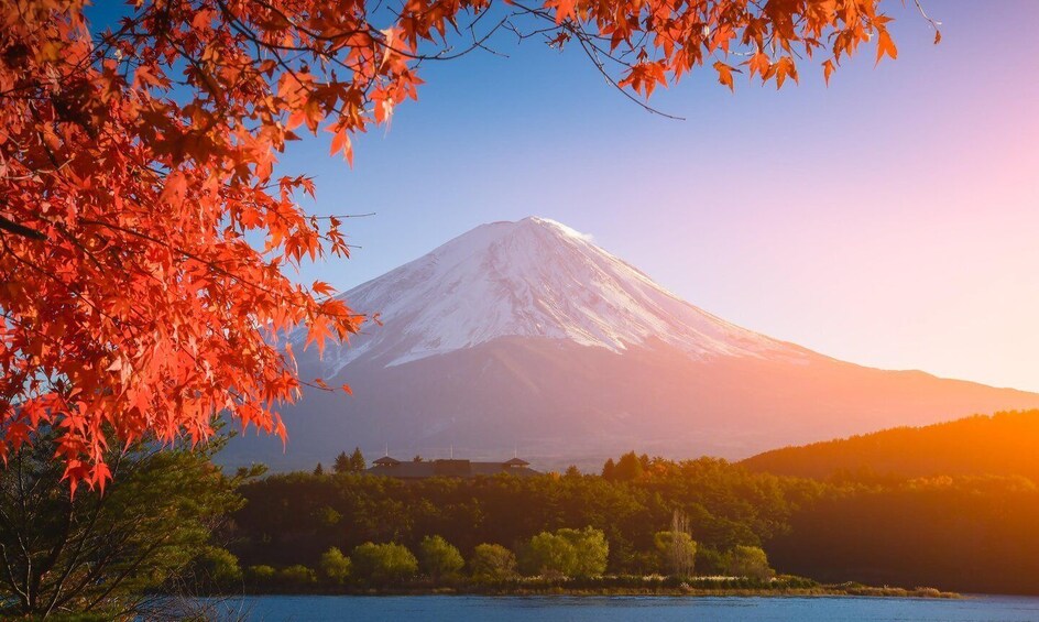 Tokyo: Mount Fuji Private day Tour(English Speaking Driver)