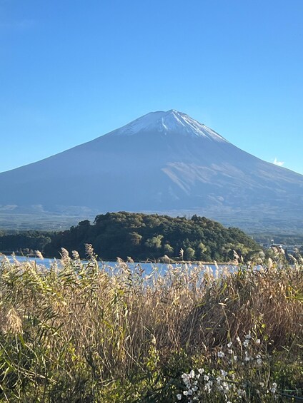 Picture 23 for Activity From Tokyo: Mount Fuji Private Tour(English Speaking Driver)