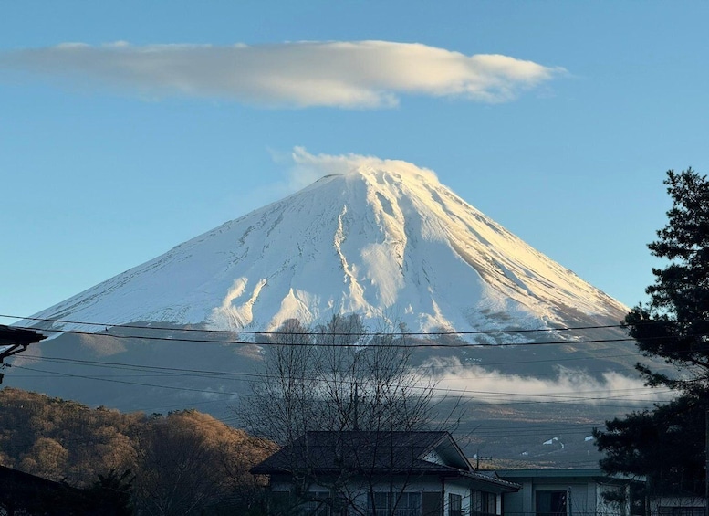 Picture 16 for Activity Tokyo: Mount Fuji Private day Tour(English Speaking Driver)