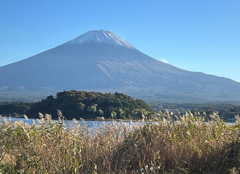 Picture 43 for Activity Tokyo: Mount Fuji Private day Tour(English Speaking Driver)