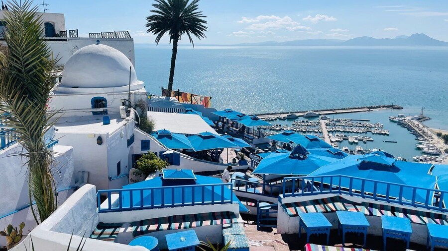 Sousse: Sidi Bousaid, Carthage, Medina of Tunis Daytrip
