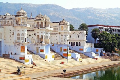 From Jaipur: Ajmer and Pushkar Private Tour By Ac Car