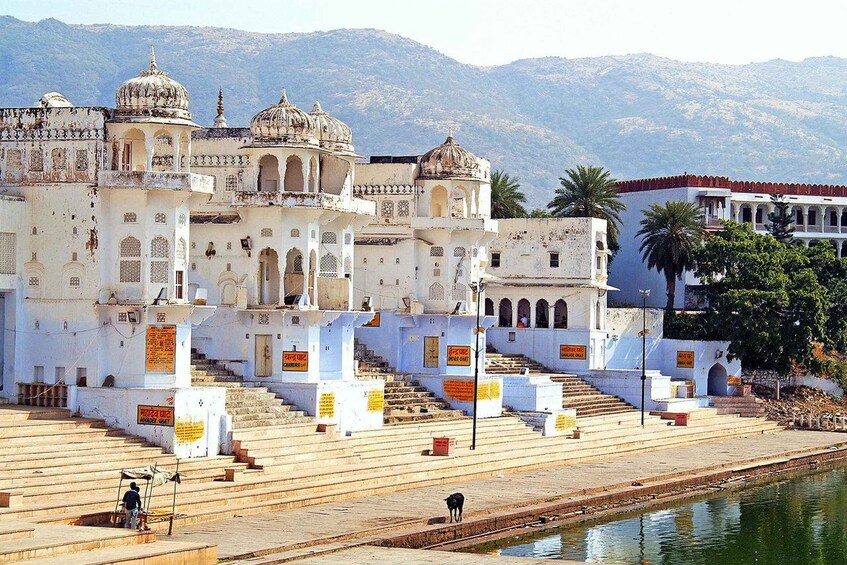 From Jaipur: Ajmer and Pushkar Private Tour By Ac Car