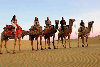 Thar Desert Adventures