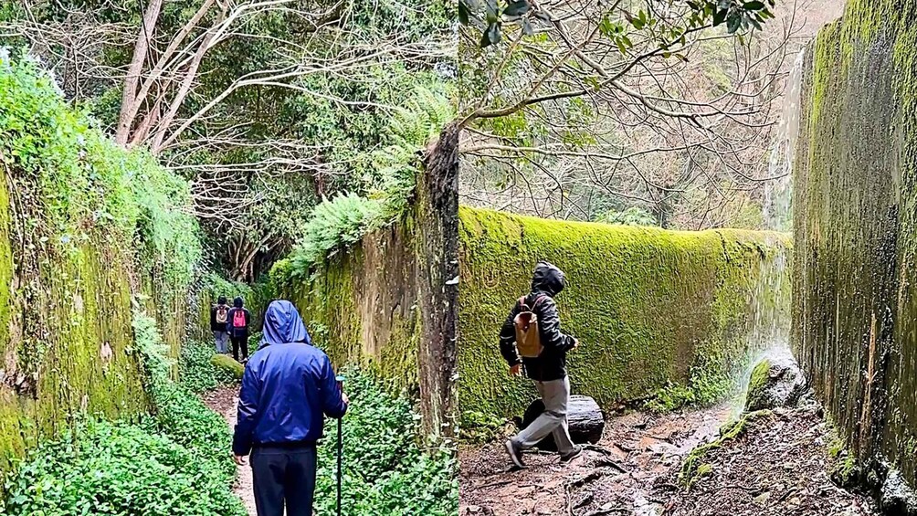 Picture 1 for Activity Sintra: Adventure hike around Sintra's most popular castles