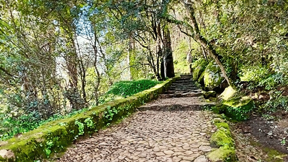 Picture 2 for Activity Sintra: Adventure hike around Sintra's most popular castles