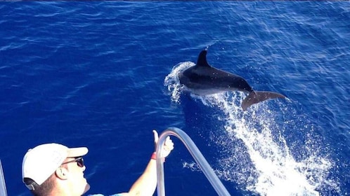 Los Cristianos: Eco Yacht Whale Watching Tour at Sunset