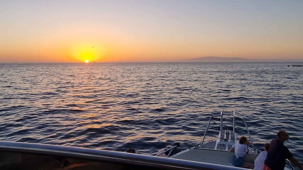 Picture 10 for Activity Los Cristianos: Eco Yacht Whale Watching Tour at Sunset