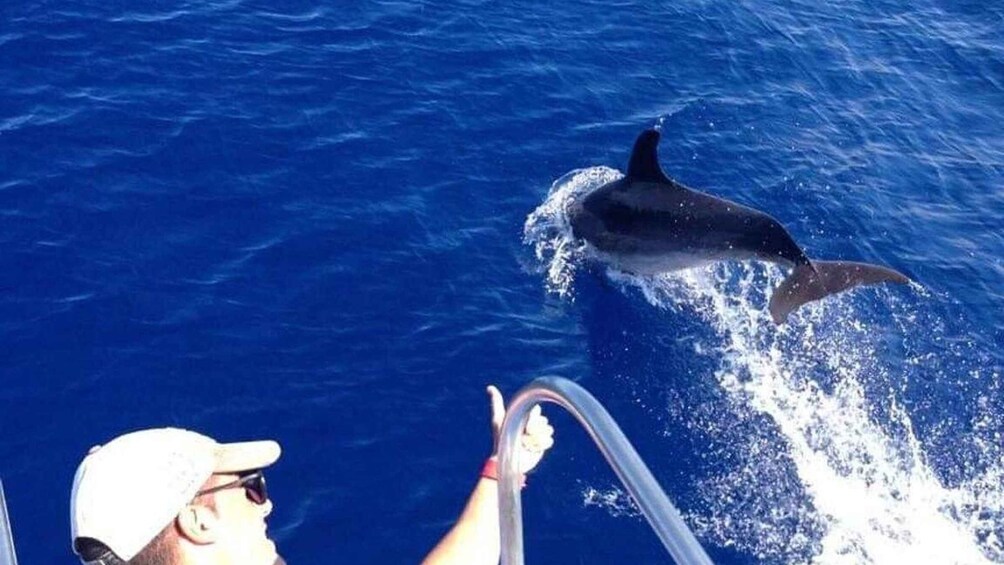 Picture 3 for Activity Los Cristianos: Eco Yacht Whale Watching Tour at Sunset