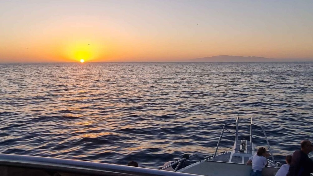 Picture 10 for Activity Los Cristianos: Eco Yacht Whale Watching Tour at Sunset