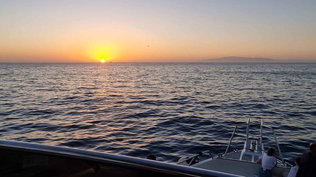 Picture 8 for Activity Los Cristianos: Eco Yacht Whale Watching Tour at Sunset