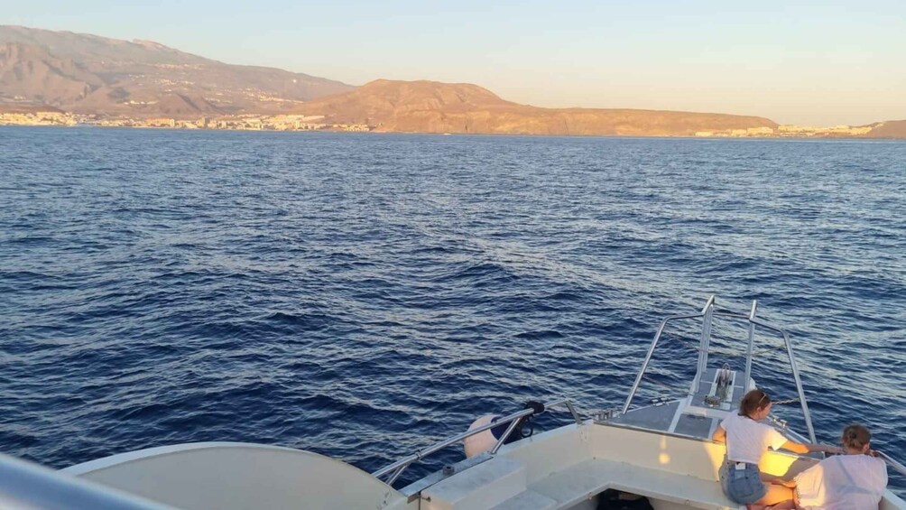 Picture 7 for Activity Los Cristianos: Sunset tour ecoyacht whales watching