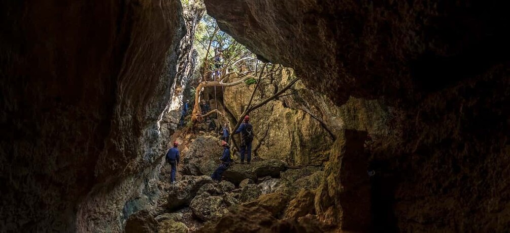 Picture 2 for Activity Setubal: Arrábida Natural Park Via Ferrata & Abseiling Trip